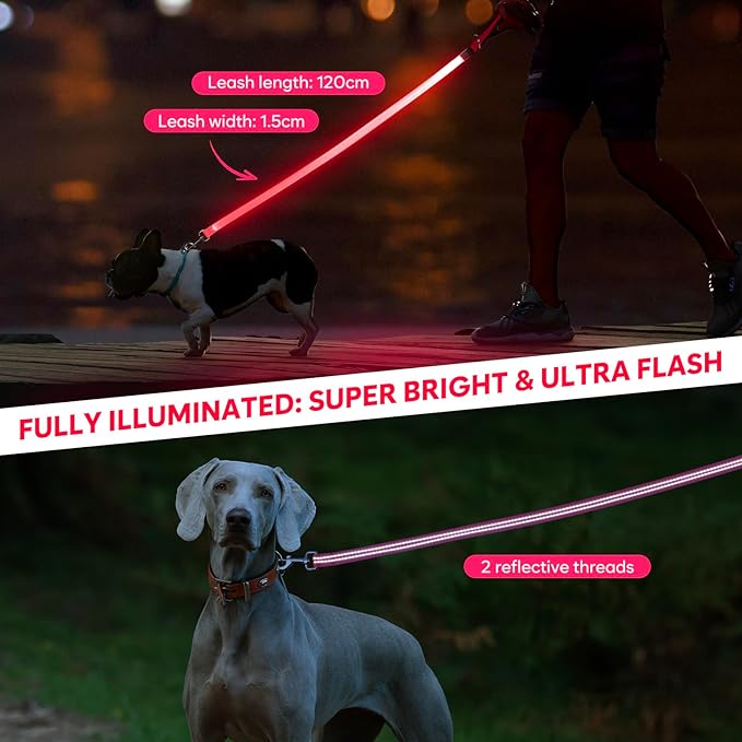 LED Dog Leash, 4 Ft Light Up, USB Rechargeable, Waterproof, Nylon Reflective with Padded Handle, Glow in The Dark for Large, Medium, Small Pets (Pink)