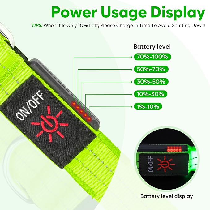 LED Dog Leash, 4 Ft Light Up Dog Leash USB Rechargeable Waterproof, Nylon Reflective Leashes with Padded Handle, Safety Glow in The Dark Pet Lights for Large Medium Small Pet(Green)
