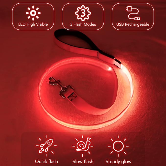 Colaseeme Light Up Dog Leash, LED Pet Leashes USB Rechargeable, Glow Safety Dogs Lights at Night (4FT,Red)