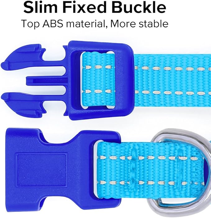 BSEEN Light Up Dog Collar, Rechargeable LED Dog Collar Reflective Glowing Pet Collar for Puppies & Cats, Safety Dog Lights for Night Walking (Blue)
