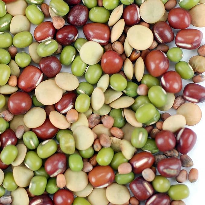Bean Salad Sprouting Seed Mix- Organic- 1/4 Lbs (4 Oz.) - Mix of Bean Sprout Seeds: Adzuki, Mung Bean, Green Lentil & Radish. For Sprouting Sprouts, Soup, Food Storage