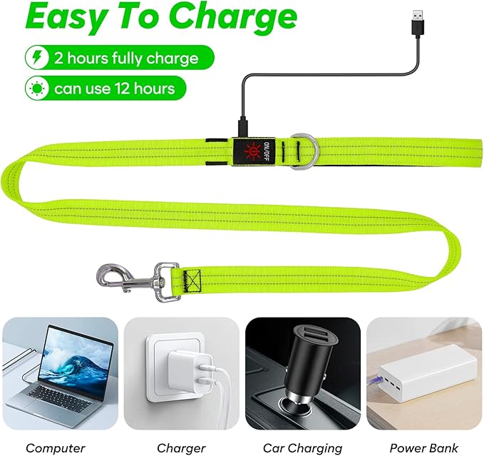 4 Ft LED Dog Leash, Rechargeable Light Up, Safety Glow in The Dark, Nylon Reflective with Padded Handle for Small to Large Pets