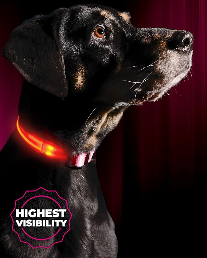 ILLUMISEEN LED Dog Collar USB Rechargeable - Bright & High Visibility Lighted Glow Collar for Pet Night Walking - Weatherproof, in 6 Colors & 6 Sizes (Pink Medium)