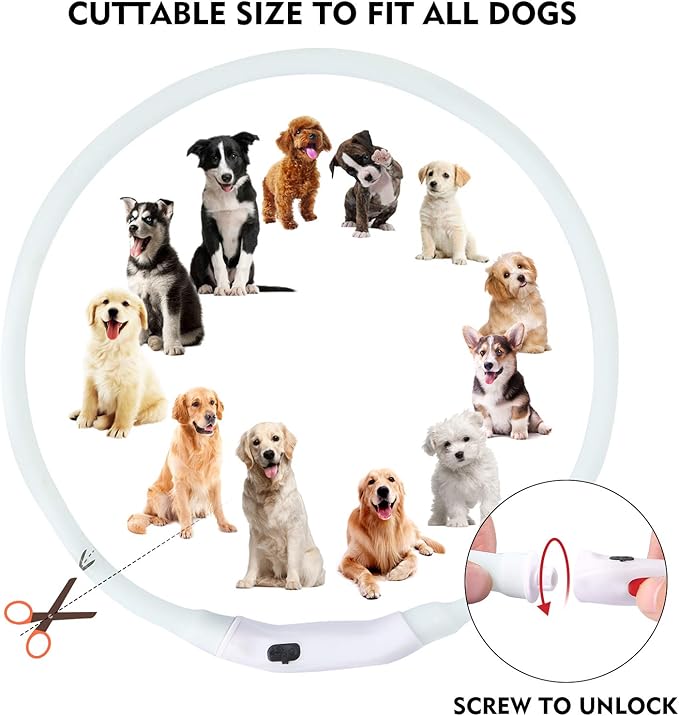 LED Dog Collar, Rechargeable RGB Color Changing Light Up Dog Collars, Waterproof Dog Lights Make Pet Visible and Safety for Night Walking,Outdoor, Camping, for Small Medium Large Dogs