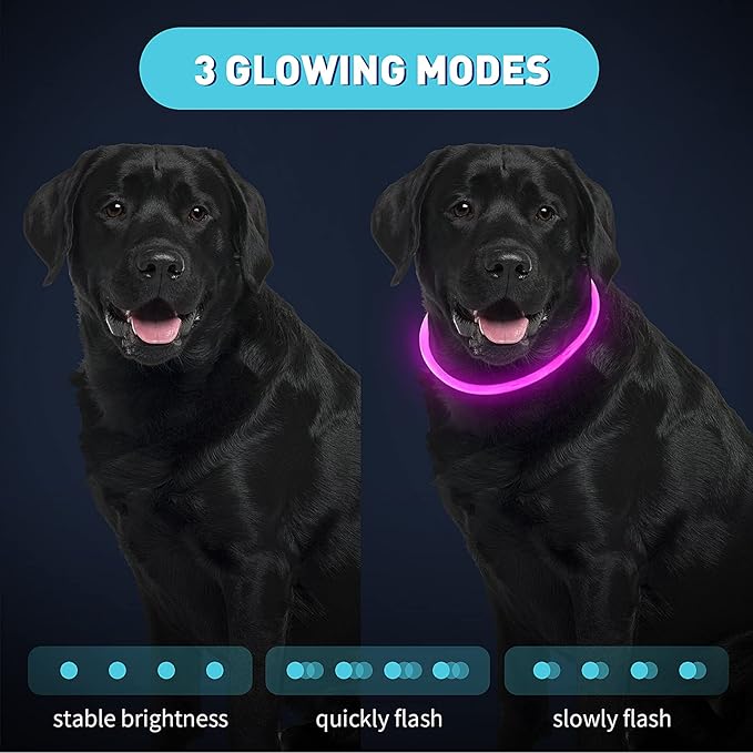 Frienda 4 Pcs Dog Collar LED USB Rechargeable Lights Dog Necklace Collars Doggy Lights for Night Walking Adjustable Safety Lamp Pet Collars for Large Medium Small Puppy(Classic Style,4 Colors)