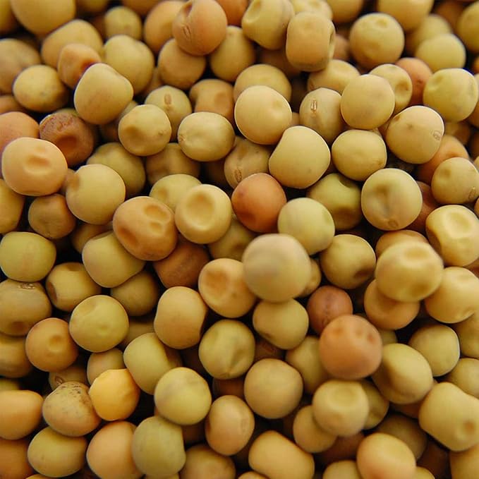 Handy Pantry Dun Pea Sprouting Seeds - 35 Lbs - Dried Dun Peas - Edible Seeds, Gardening, Hydroponics, Growing Salad Sprouts & Microgreens, Planting, Food Storage, Soup & More