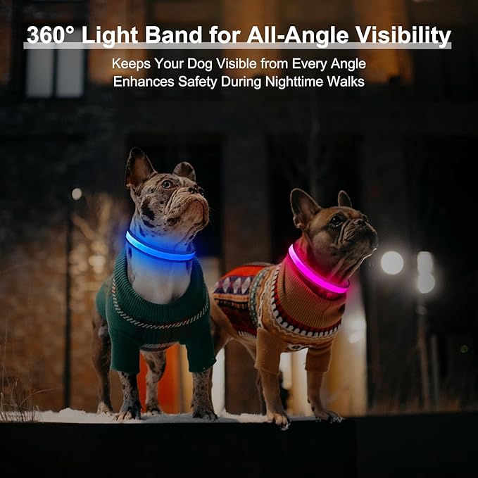 Light Up Dog Collar, Multicolor LED Dog Collar with 7 Modes, USB-C Rechargeable Reflective Glow Collar, Waterproof & Adjustable Design with Battery Indicator for Safe Night Walks (Small)