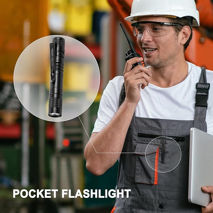 10 Pack Mini LED Flashlight 3.3 Inch Pocket Pen High Lumens Handheld Flashlight with Clip for Camping,Outdoor,Emergency