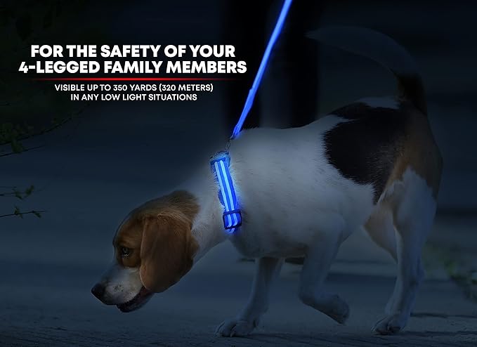 ILLUMISEEN LED Dog Collar USB Rechargeable - Bright & High Visibility Lighted Glow Collar for Pet Night Walking - Weatherproof, in 6 Colors & 6 Sizes (Blue Small)