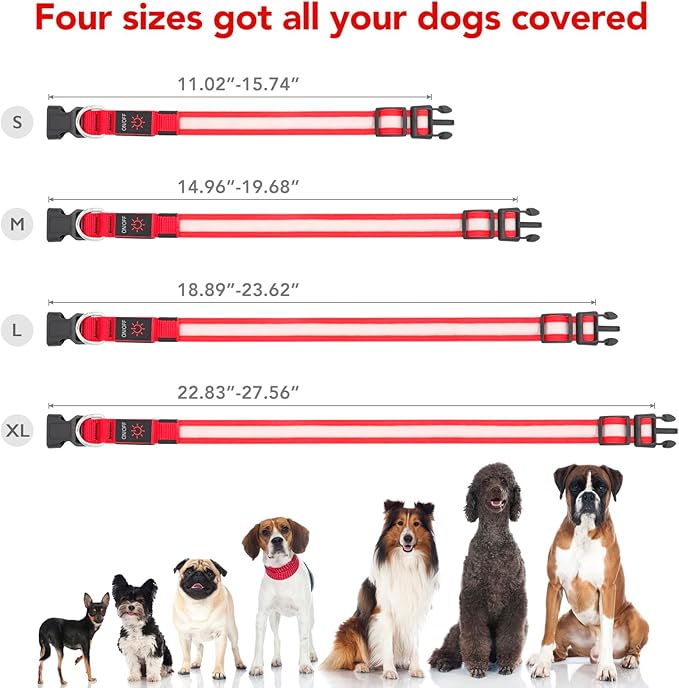 Vizpet LED Dog Collar, Light Up Dog Collar Adjustable USB Rechargeable Super Bright Safety Light Glowing Collars for Dogs(Medium,Red)