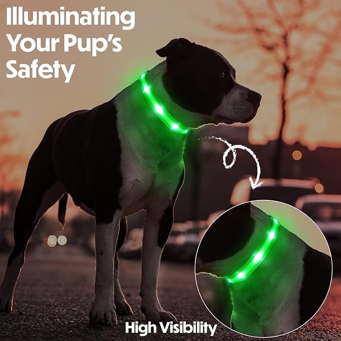 Light Up Dog Collar – Reflective, Adjustable, Rechargeable Electronic Glow Pet Collars – Bright, Comfortable, High Visibility LED Dog Collar for Night Safety, Outdoor Walk, Flashing Fun, Green, Medium