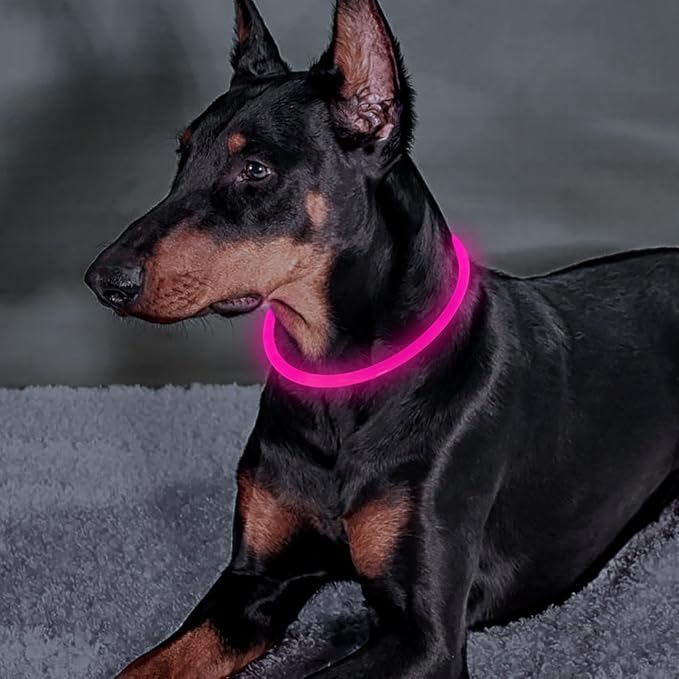 Light Up Dog Collar - Rechargeable LED Dog Collar Glow in The Dark, Illuminated Pet Safety Light for Night Walking (Candy Pink)