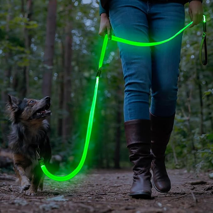 Colaseeme Light Up Dog Leash, LED Pet Leashes USB Rechargeable, Glow Safety Dogs Lights at Night (6FT,Green)