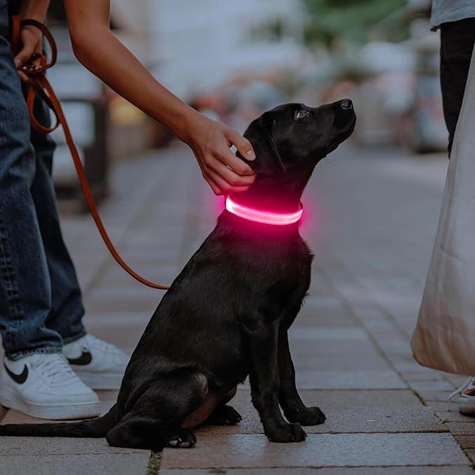Illumifun Rechargeable LED Dog Collar, Waterproof Light Up Dog Collars Glow in The Dark, Adjustable Safety Collar Light for Dogs Walking Camping (Pink, Medium)