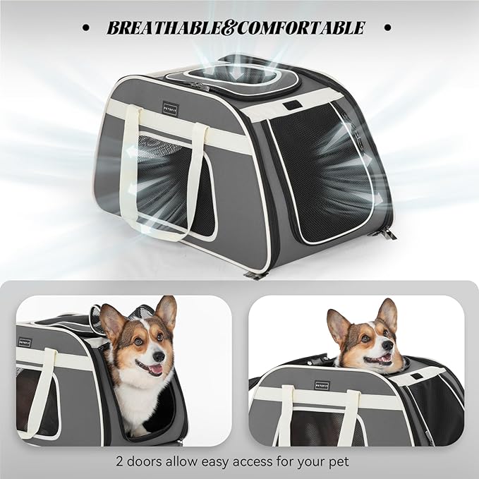 PETSFIT Large Pet Carrier with Wheels Designed for 2 Small Dogs/Multiple Kittens/Medium Dogs with Adjustable Safety Rope & Waterproof Bottom(?‘µ?’�?’• ?’‚?’Š?’“?’�?’Š?’�?’† ?’‚?’‘?’‘?’“?’�?’—?’†?’…)