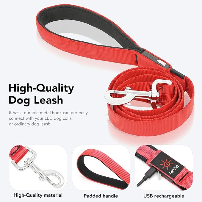 Colaseeme Light Up Dog Leash, LED Pet Leashes USB Rechargeable, Glow Safety Dogs Lights at Night (4FT,Red)