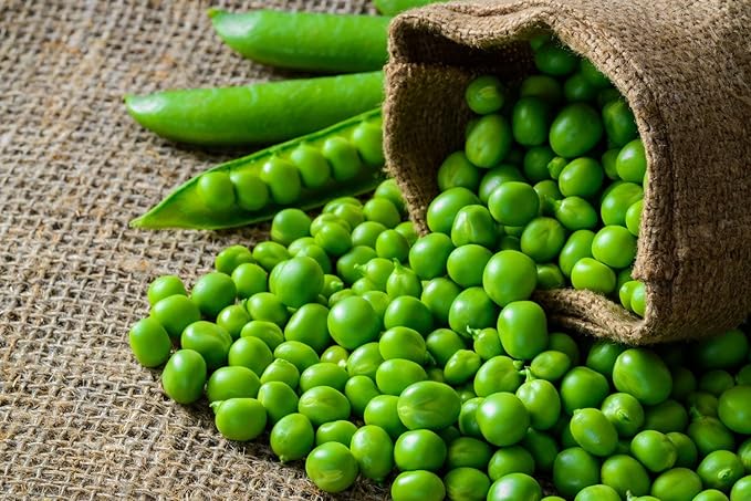 Food to Live Green Split Peas, 10 Pounds - Dried, Vegan, Kosher, Bulk. Easy to Cook. Rich in Protein, Fiber, Essential Minerals. Great for Pea Soup, Stews, Salads. Perfect to Serve with Rice.