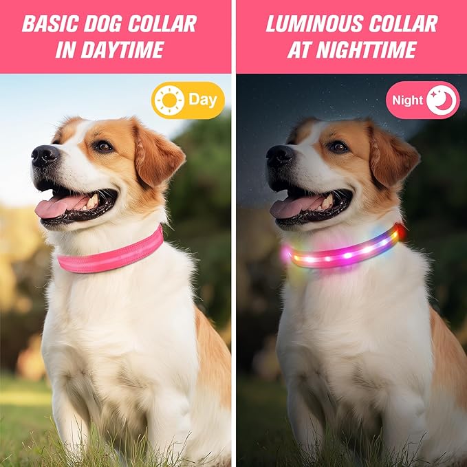 LED Dog Collar, Light Up Dog Collar, USB Rechargeable - Brightest Dog Lights for Night Walking, 6 Light Modes, Adjustable for Dog Safety(Small, Candy Pink)