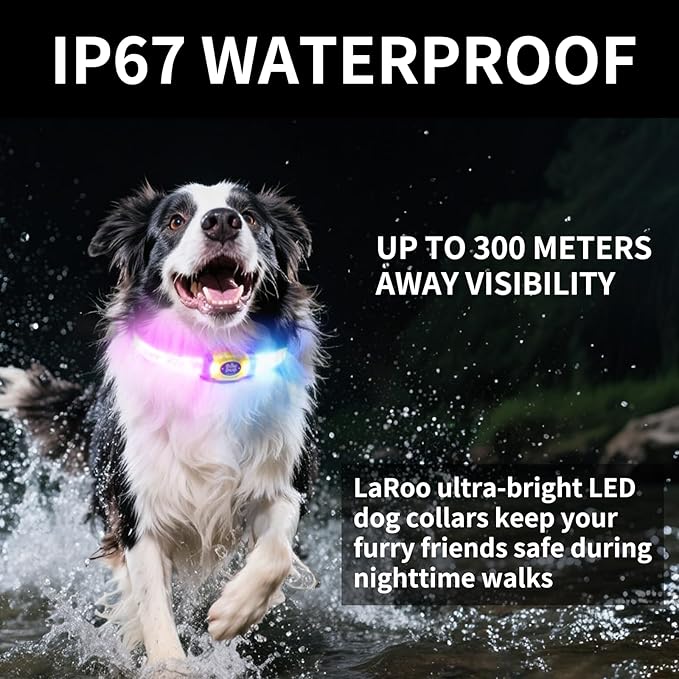 LaRoo LED Light Up Dog Collar, Multi-Color Glowing Safety Pet Collar, USB Rechargeable, Adjustable, Night Walk High Visibility Collar Safety Dog Light for Small Medium Dogs(Purple)