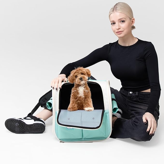 Pet Backpack Carrier for Small Dogs, Cats, Kittens, Rabbits ??Airline Approved Travel Bag with Breathable Mesh and Padded Straps ??Soft-Sided Cat Carrier Backpack for Hiking, Camping, Trips
