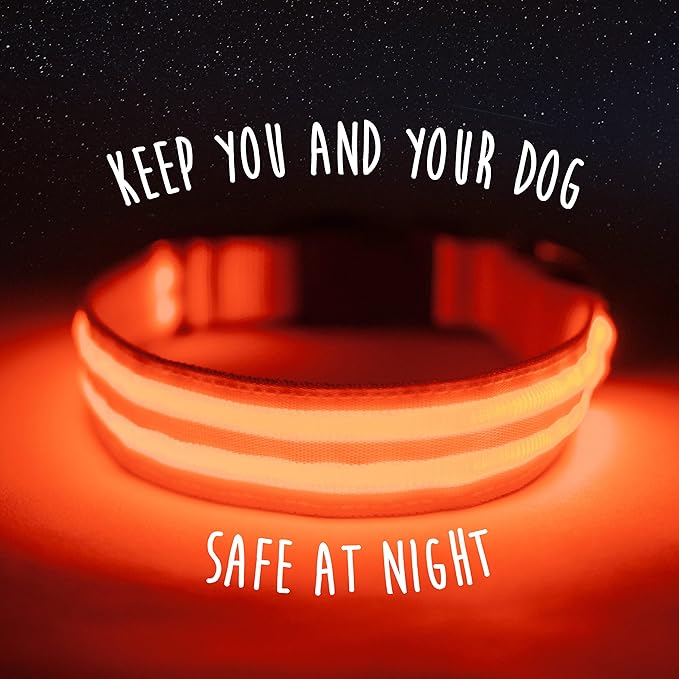 Mighty Paw LED Dog Collar - USB LED Rechargeable - USB Rechargeable Light - High Visibility Glow Strips - Glow Pet Feature - Weather Resistant - Bright Light Modes for Nighttime Safety - (L - Orange)