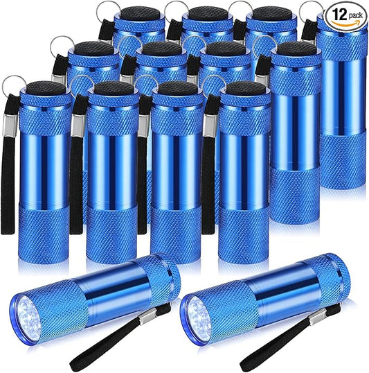 VIHOSE 12 Pcs Mini Flashlights Bulk, Bright Aluminum Handheld Flash Lights with Lanyard, Small LED Flashlights for Kids Night Reading Emergency Hurricane Camping Hiking Party Favors(Blue)