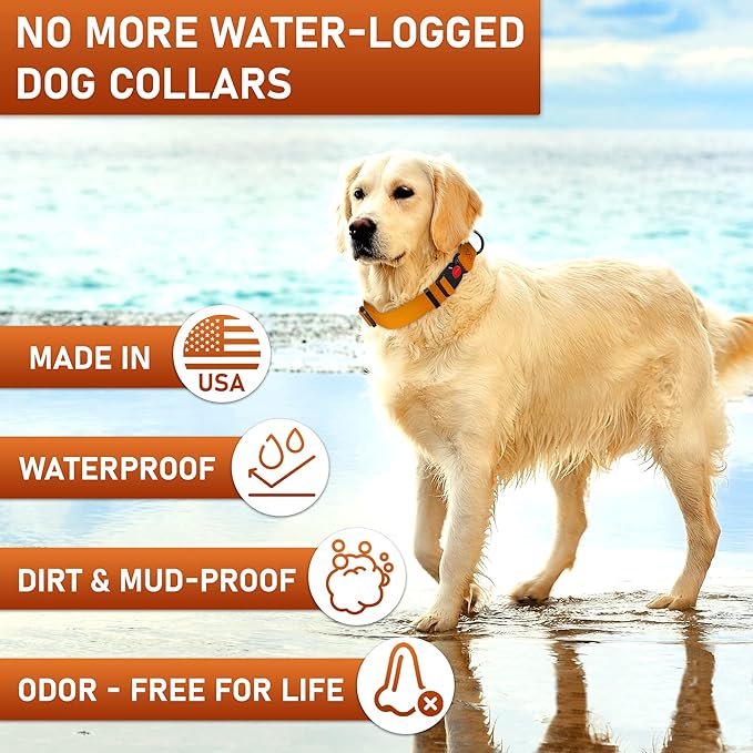 Adjustable Dog Collar with Safety Lock Buckle - Made in USA - Honeycomb Waterproof Heavy Duty Dog Collars for Medium Large Dogs - Odor Proof Pet Collar for Dogs with Strong Zinc D Ring Orange