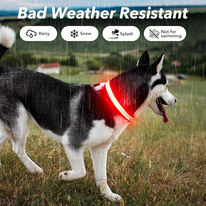 Visinite Light Up Dog Collar, Reflective LED Dog Collar, Adjustable Lighted Dog Collars Rechargeable Waterproof, Bright Dog Glow Collar for Pet Safety at Night Walking, Fit Large Medium Dogs