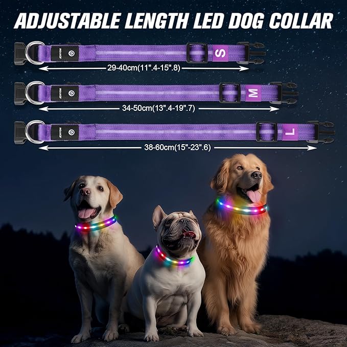 LED Dog Collar, Light Up Dog Collar, USB Rechargeable - Brightest Dog Lights for Night Walking, 6 Light Modes, Adjustable for Dog Safety(Small, Purple)