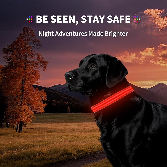 LED Dog Collar with Metal Buckle - USB Rechargeable Glow Collar for Dogs, Waterproof Light Up Dog Collar w/Reflective Strips - Adjustable Night Safety Collars by PetIsay(Red,Large)