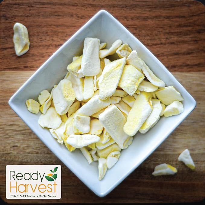 Ready Harvest Freeze Dried Food - Mango | Emergency Snacks | Fruit for Camping & Survival | #10 Can | 25-Year Shelf Life | Cans Filled to the Top