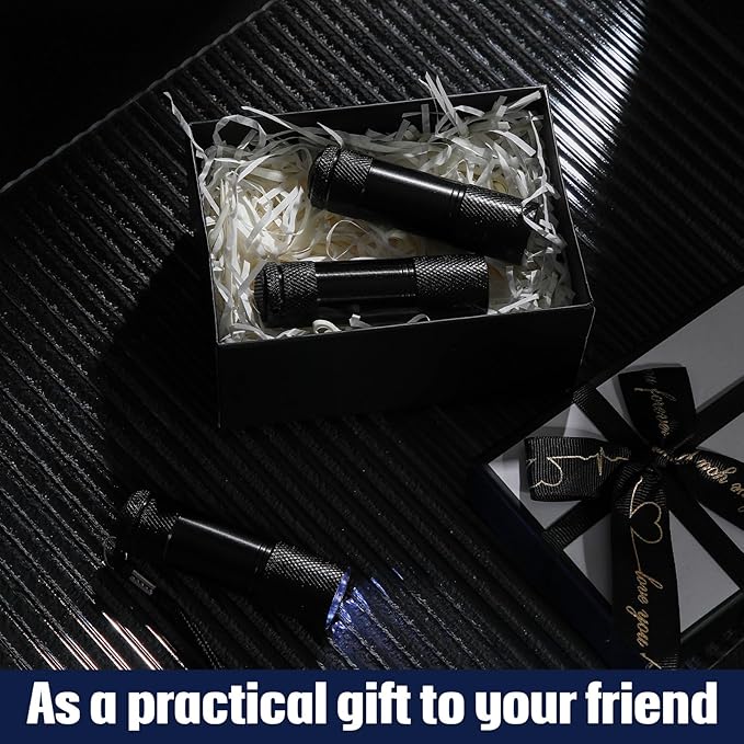 VIHOSE 20 Pcs Mini Flashlights Bulk, Bright Aluminum Handheld Flash Light with Lanyard Small LED Flashlights for Night Reading Emergency Hurricane Camping Hiking, Batteries Not Included(Black)