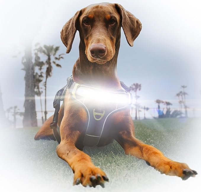 Lumi One LED Dog Harness for Night Visibility & Safety, Patent Pending, Rechargeable Adjustable Dog Harness, Durable Pet Vest, Reflective Pet Apparel, Light-Up Dog Vest (Pink, Extra Large)