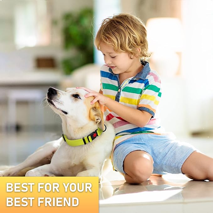 Adjustable Dog Collar with QR Code Dog Tag ID Attached - Made in USA - Honeycomb Waterproof Heavy Duty Dog Collar with Safe Lock Buckle - Odor Proof Pet Collar for Dogs with Strong Zinc D Ring