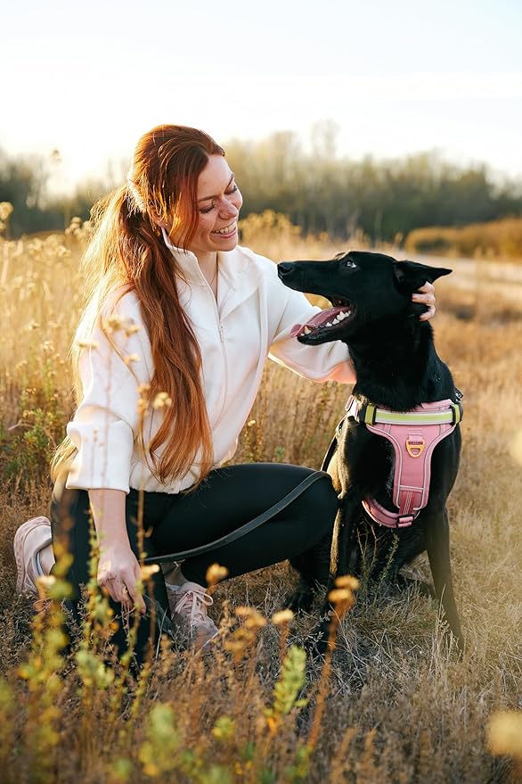 Lumi One LED Dog Harness for Night Visibility and Safety, Patent Pending – Light-Up Dog Vest, Reflective, Adjustable, Rechargeable, Durable, High-Visibility Pet Gear (Pink, Medium)