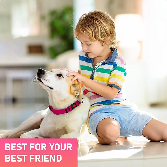 Adjustable Dog Collar with Safety Lock Buckle - Made in USA - Honeycomb Waterproof Heavy Duty Dog Collars for Medium Large Dogs - Odor Proof Pet Collar for Dogs with Strong Zinc D Ring Pink