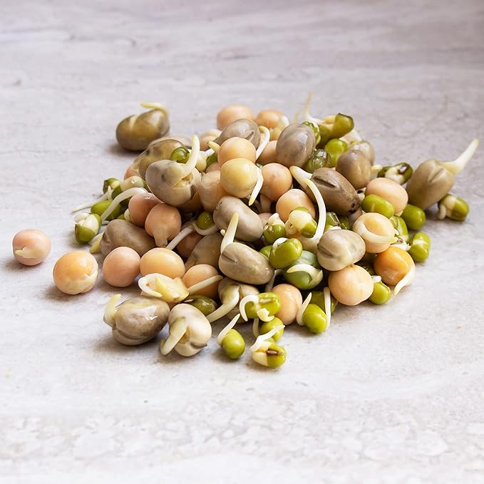 Organic Sprouting Seeds - Handy Pantry Sweet Protein Mix 8 oz. - Fava Bean, Mung Bean, & Yellow Pea Seeds - High Protein Food for Daily Health or Food Storage - Easy and Delicious Organic Sprout Seeds