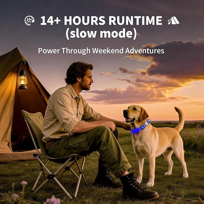 LED Dog Collar with Metal Buckle - USB Rechargeable Glow Collar for Dogs, Waterproof Light Up Dog Collar w/Reflective Strips - Adjustable Night Safety Collars by PetIsay(Blue,Large)