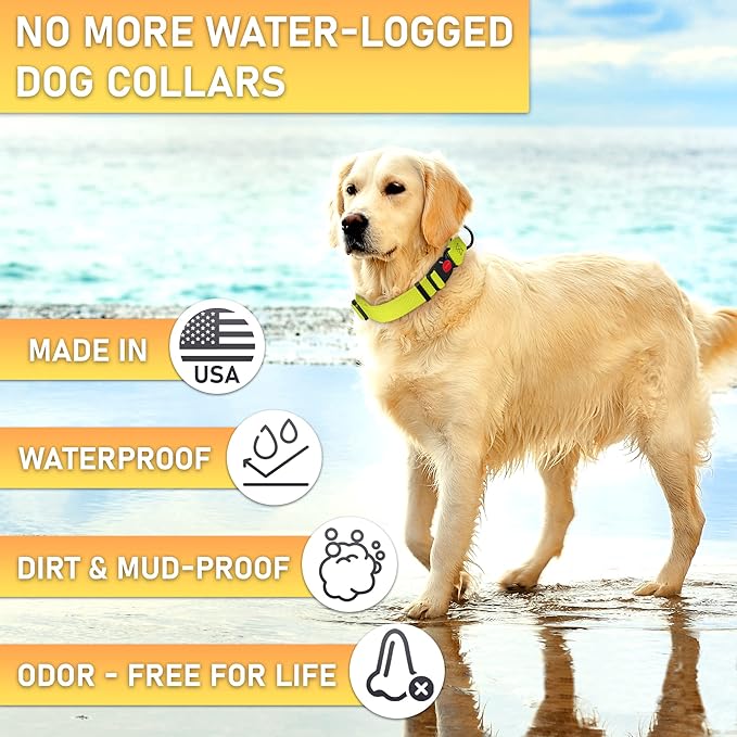 Adjustable Dog Collar with QR Code Dog Tag ID Attached - Made in USA - Honeycomb Waterproof Heavy Duty Dog Collar with Safe Lock Buckle - Odor Proof Pet Collar for Dogs with Strong Zinc D Ring