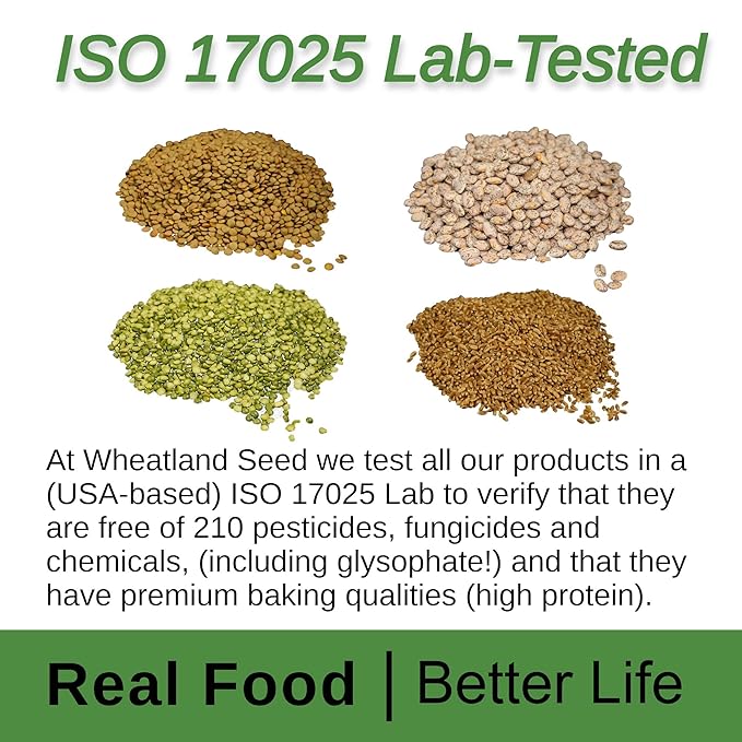 Wheatland™ Lentils • 20lb • Mylar, Oxygen Absorber and Bucket Provide 25 Year Shelf Life • Lab Tested ISO 17025 Verified Chemical-Free • Never Irradiated, No Desiccants and Non GMO • High Trust Seller • Emergency Food Storage• Wheatland 40 Year Legacy