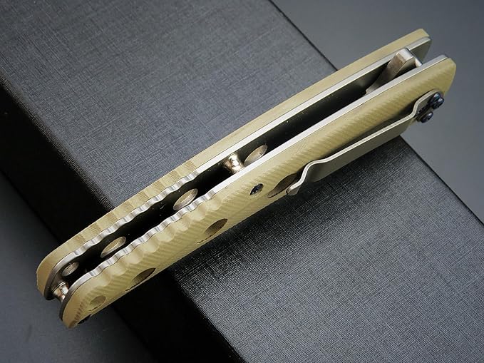 Eafengrow EF941 EDC Pocket Folding Knife D2 Steel Blade G10 Handle Pocket Clip with safety liner lock for Camping Survival Outdoor(Desert)