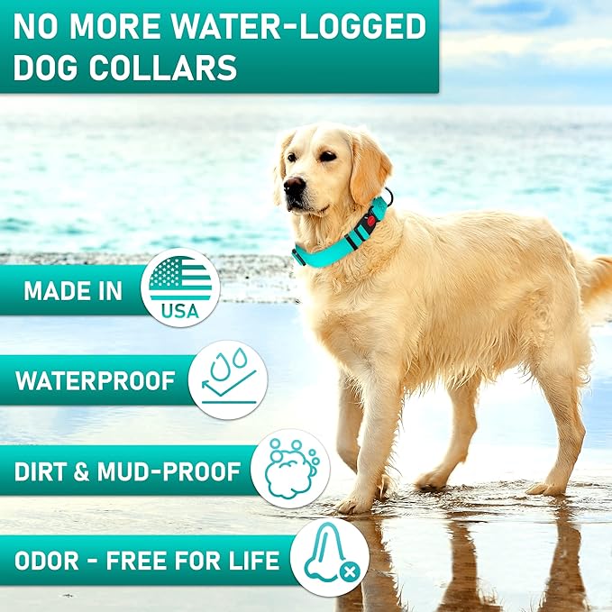 Adjustable Dog Collar with QR Code Dog Tag ID Attached - Made in USA - Honeycomb Waterproof Heavy Duty Dog Collar with Safe Lock Buckle - Odor Proof Pet Collar for Dogs with Strong Zinc D Ring