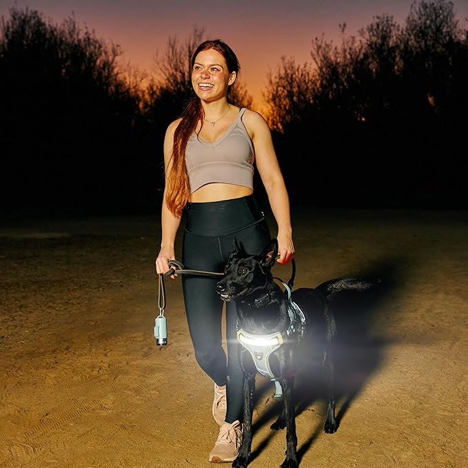 Lumi One- The Only Dog Harness That Lights Your Path at Night! Patent-Pending. Dog Safety Gear, Rechargeable Adjustable Pet Harness, Durable Pet Walking Gear (Teal Blue, Medium)