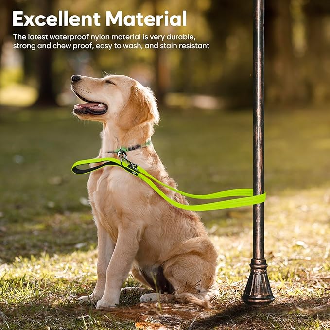 LED Dog Leash, 4 Ft Light Up Dog Leash USB Rechargeable Waterproof, Nylon Reflective Leashes with Padded Handle, Safety Glow in The Dark Pet Lights for Large Medium Small Pet(Green)