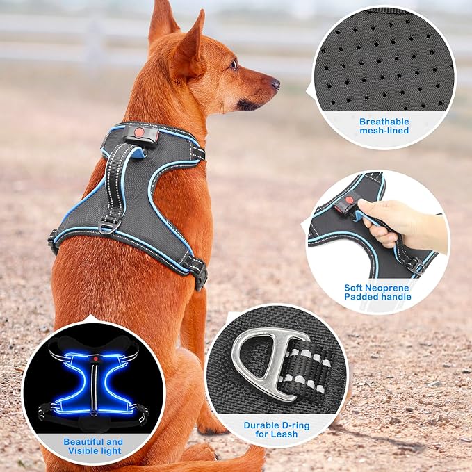 LED Light Dog Harness, X-Large, Black-Blue, No-Pull, Rechargeable, for Large Dogs