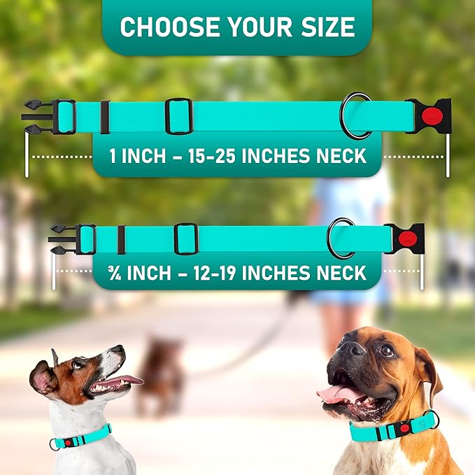 Adjustable Dog Collar with QR Code Dog Tag ID Attached - Made in USA - Honeycomb Waterproof Heavy Duty Dog Collar with Safe Lock Buckle - Odor Proof Pet Collar for Dogs with Strong Zinc D Ring