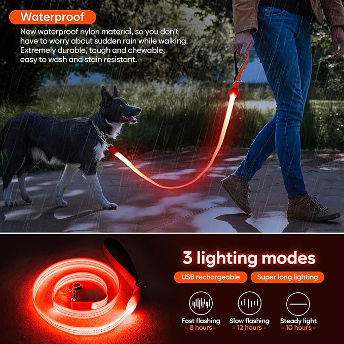 LED Dog Leash, Light Up Dog Leash 4 Ft USB Rechargeable Waterproof, Nylon Reflective Leashes with Padded Handle for Dogs Night Walking Light, Safety Glow in The Dark for Large Medium Pets (Orange)