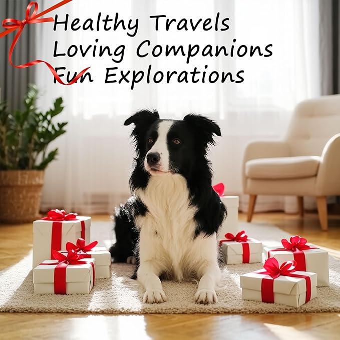 Portable Foldable Elevated Dog Bowls Stand with Dual Dishes, Compact Travel Pet Feeding Table for Dogs (5 Cups Capacity)–Lightweight Non-Slip Design, Perfect for Indoor/Outdoor Adventures