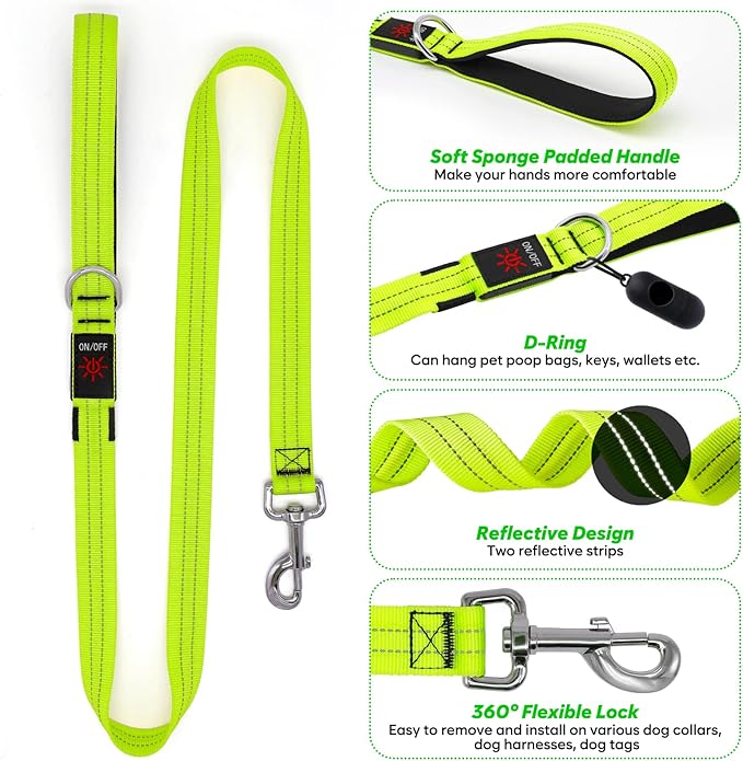 4 Ft LED Dog Leash, Rechargeable Light Up, Safety Glow in The Dark, Nylon Reflective with Padded Handle for Small to Large Pets