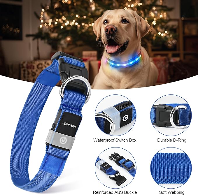 LED Dog Collar, Light Up Dog Collar, USB Rechargeable - Brightest Dog Lights for Night Walking, 6 Light Modes, Adjustable for Dog Safety(Small, Royal Blue)